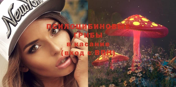 дживик Балахна
