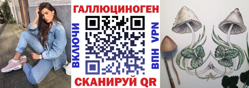 Псилоцибиновые грибы Cubensis  Гулькевичи 