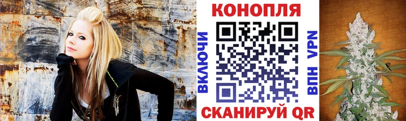 Марихуана индика дарнет шоп Гулькевичи